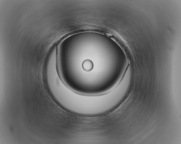 X0000114511269200911091122