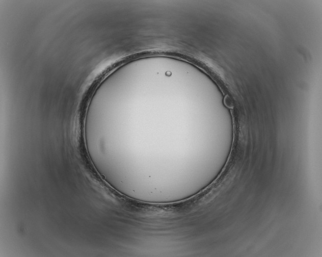 X0000114511270200911091122