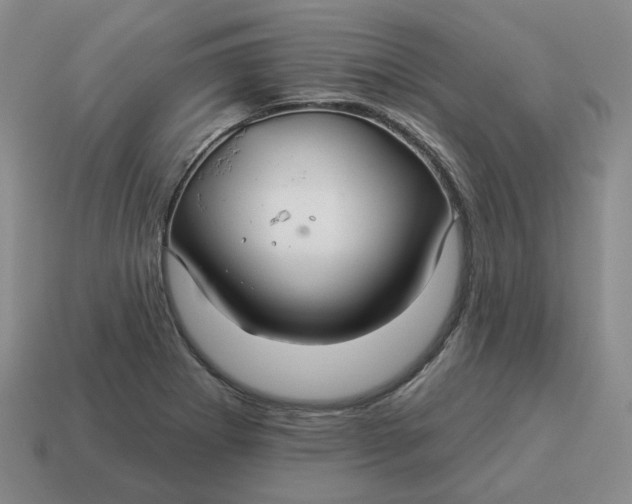 X0000114511273200911091122