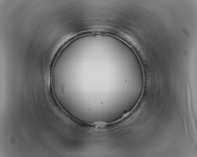 X0000114511275200911091122