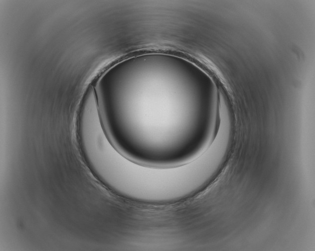 X0000114511277200911091122