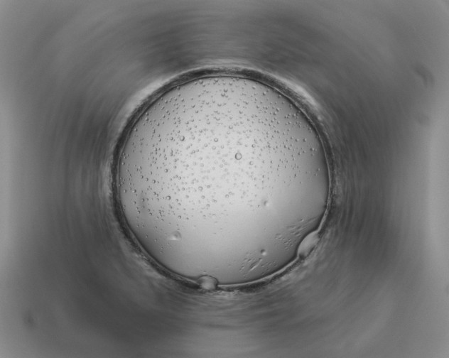 X0000114511279200911091122