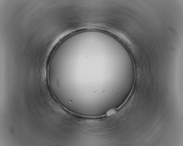 X0000114511280200911091122