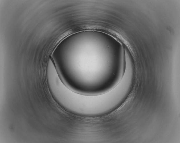 X0000114511281200911091122