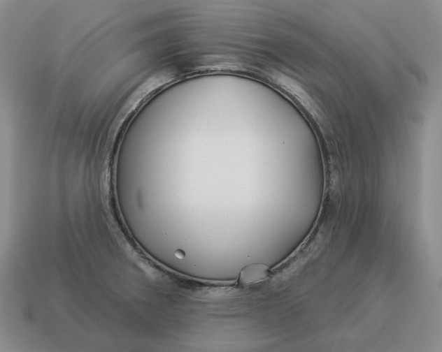 X0000114511282200911091122