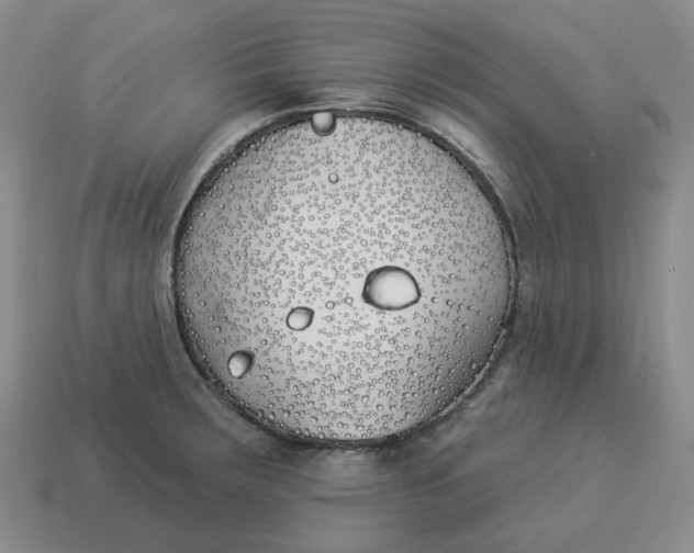 X0000114511283200911091122