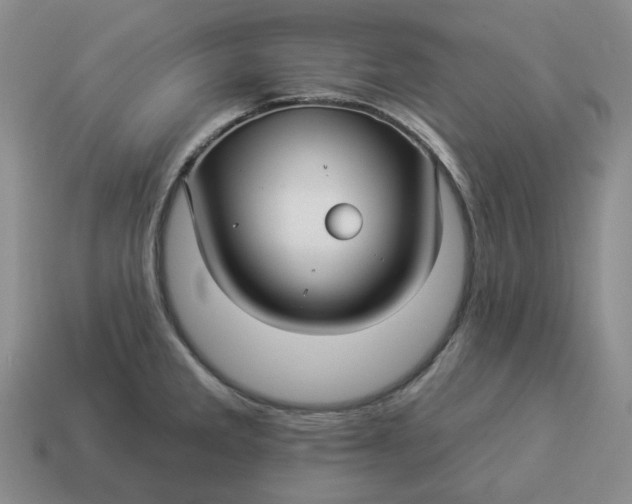 X0000114511285200911091122