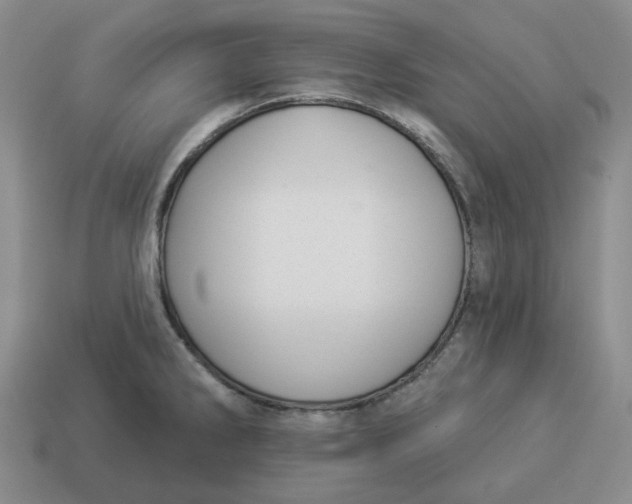 X0000114511286200911091122