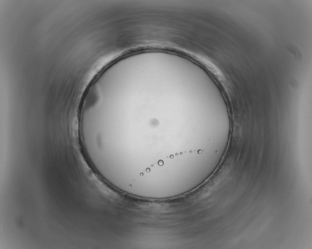 X0000114511287200911091122