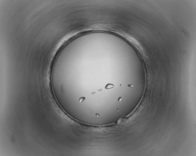 X0000114511288200911091122