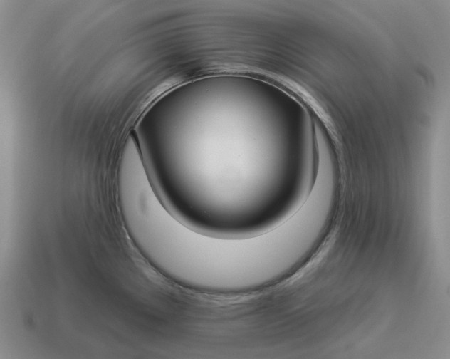 X0000114511289200911091122