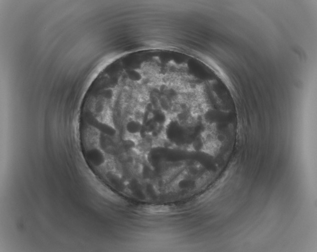 X0000114511291200911091122