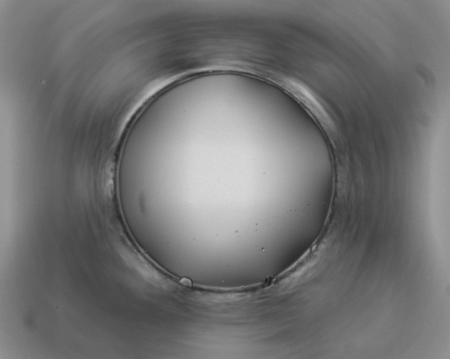 X0000114511292200911091122