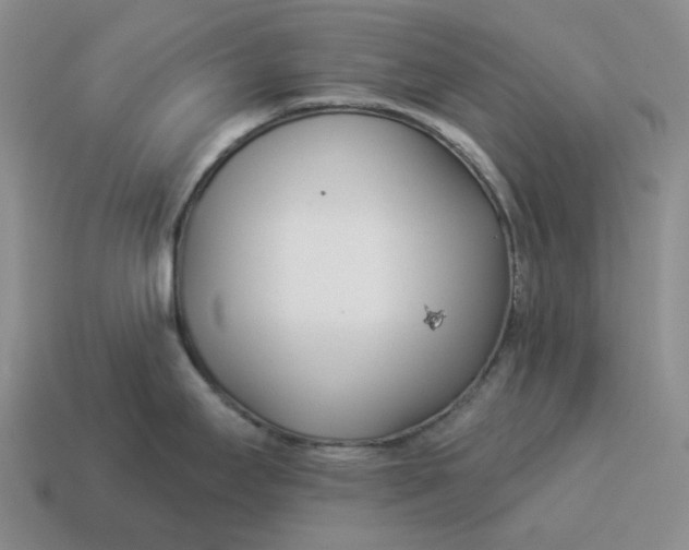 X0000114511295200911091122