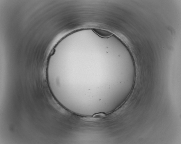 X0000114511296200911091122