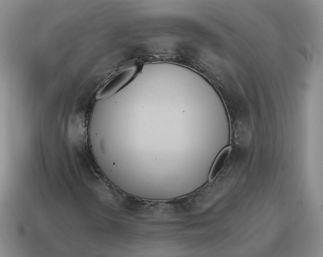 X0000114511298200911091121