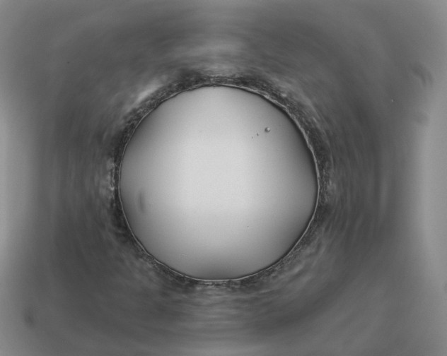 X0000114511301200911091121