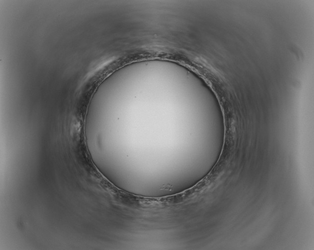 X0000114511302200911091121