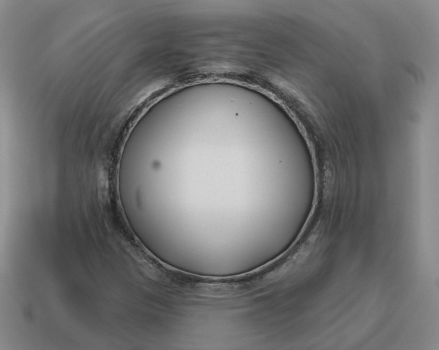 X0000114511305200911091121