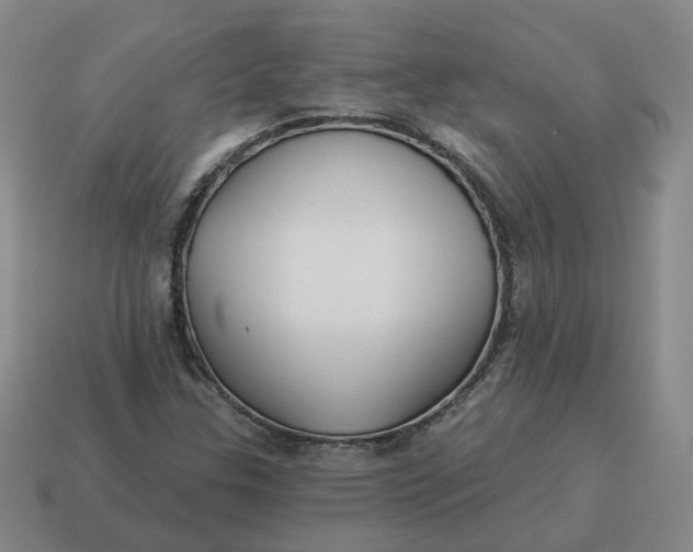 X0000114511307200911091121