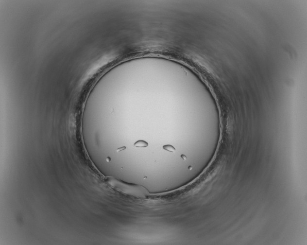 X0000114511309200911091121