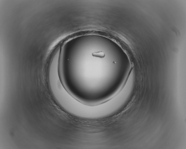 X0000114511310200911091121