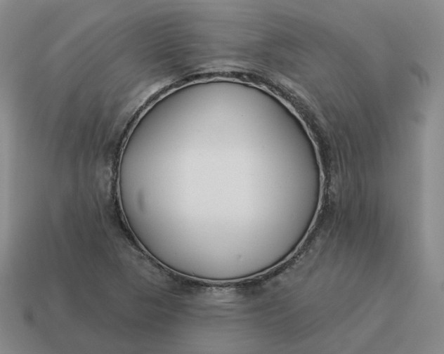 X0000114511313200911091121