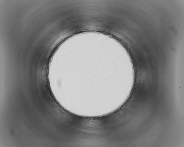 X0000114511314200911091121