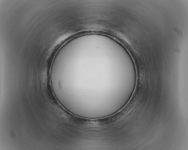 X0000114511315200911091121