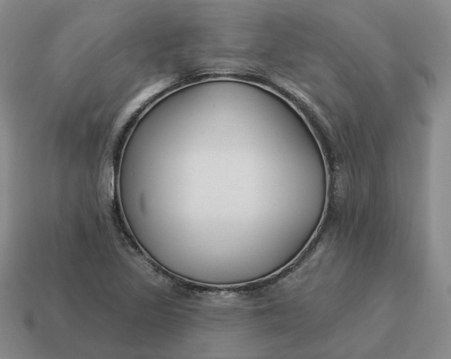 X0000114511317200911091122