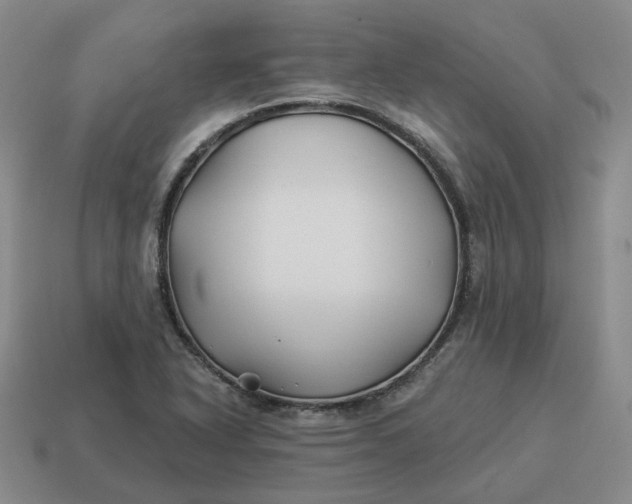 X0000114511318200911091122