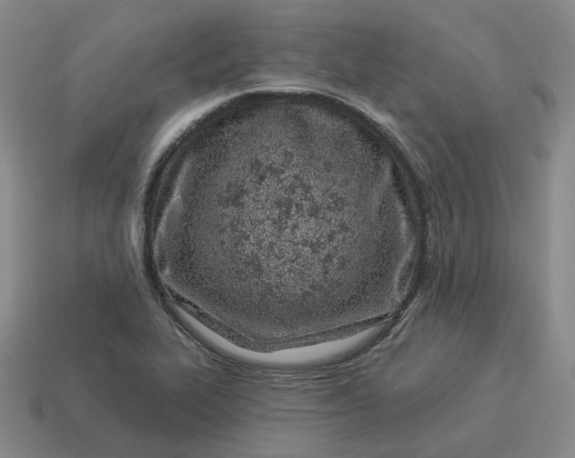 X0000114511319200911091122