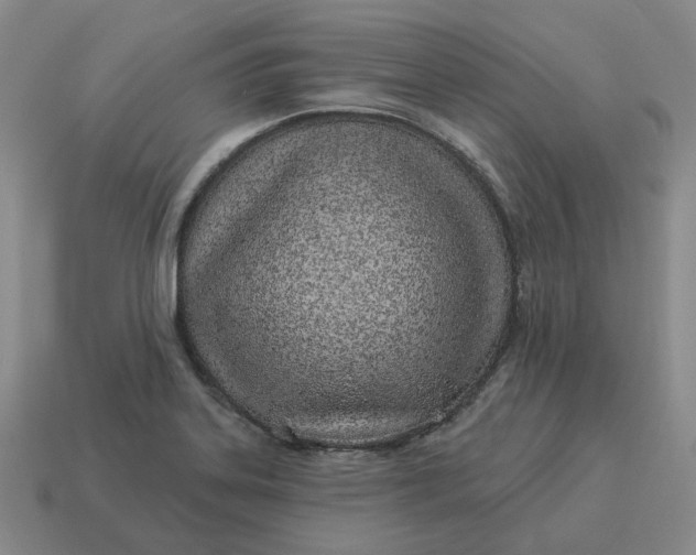 X0000114511323200911091122