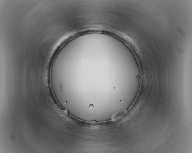 X0000114511326200911091122