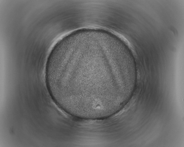 X0000114511327200911091122