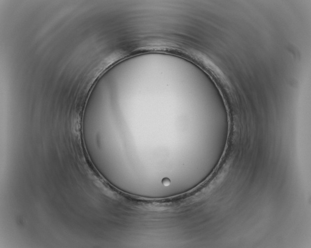 X0000114511329200911091122