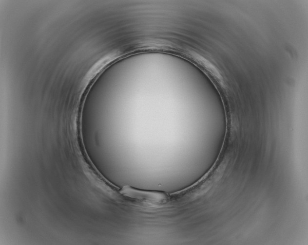 X0000114511330200911091122