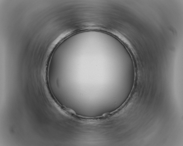 X0000114511333200911091122