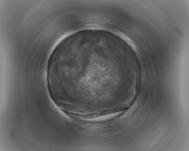 X0000114511334200911091122