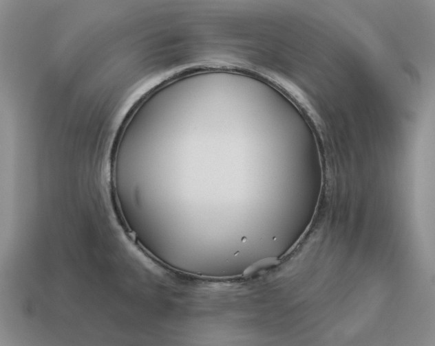 X0000114511335200911091122