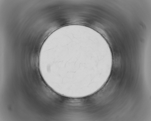 X0000114511338200911091122