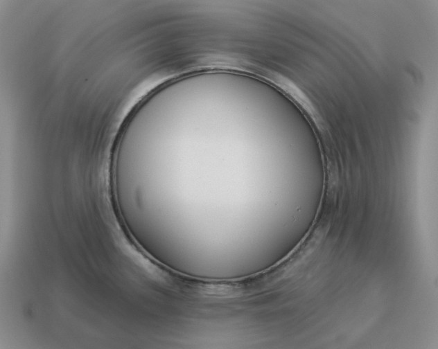 X0000114511339200911091122