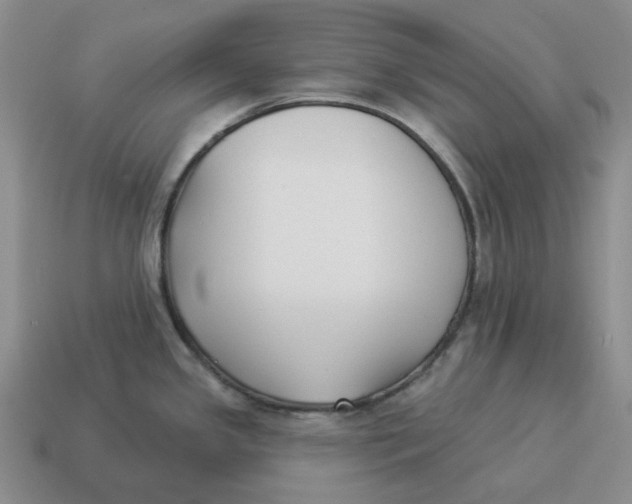 X0000114511341200911091122