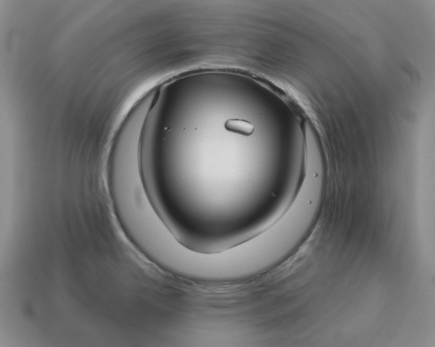 X0000114511342200911091122