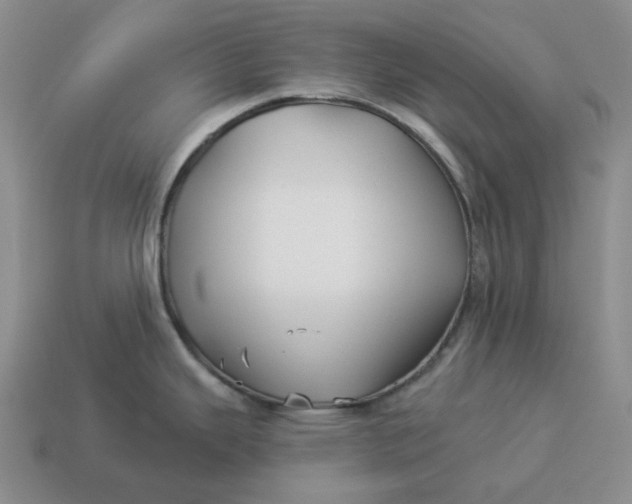 X0000114511343200911091122