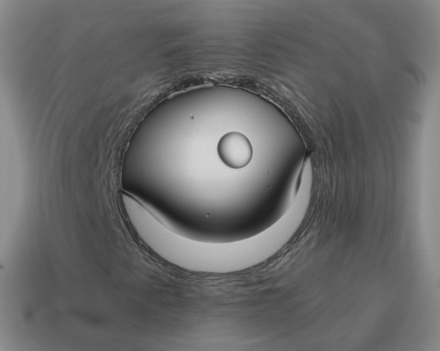 X0000114511345200911091121