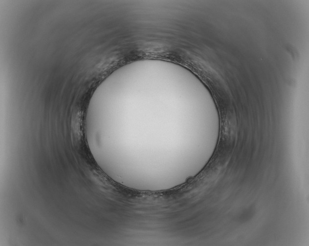 X0000114511346200911091121