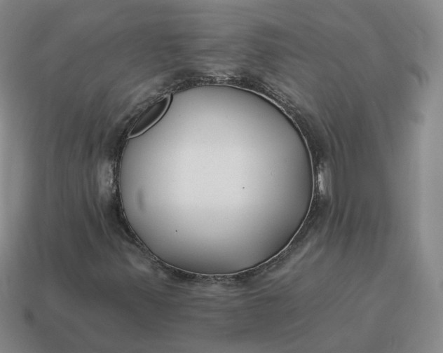 X0000114511347200911091121