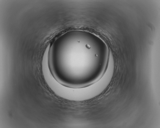 X0000114511349200911091121