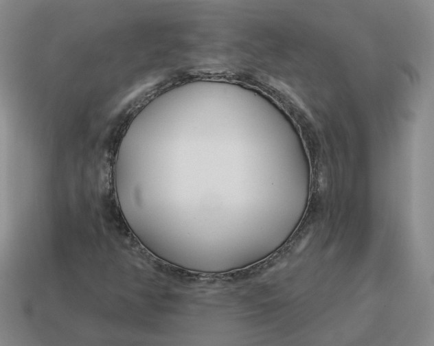 X0000114511350200911091121